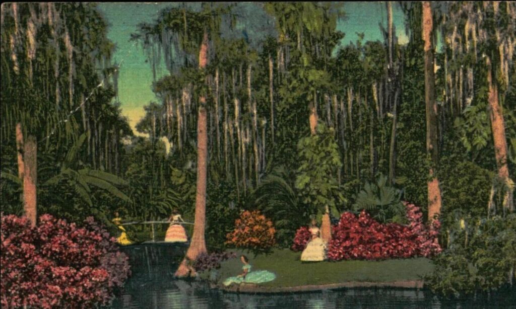 Vintage postcard of a serene Florida reflection pond bordered by cypress trees draped in Spanish moss, blooming azaleas, and dense subtropical foliage. Women in long, colorful dresses stand on small garden islands and bridges, adding a romantic, early-20th-century atmosphere. The scene captures the lush wetlands and ornamental gardens that once drew visitors to Central Florida estates and parks, offering writers a glimpse into the natural beauty and cultural imagination that shape Volusia County history.
