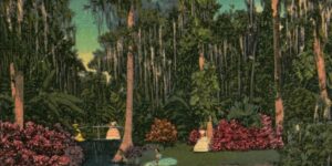 Vintage postcard of a serene Florida reflection pond bordered by cypress trees draped in Spanish moss, blooming azaleas, and dense subtropical foliage. Women in long, colorful dresses stand on small garden islands and bridges, adding a romantic, early-20th-century atmosphere. The scene captures the lush wetlands and ornamental gardens that once drew visitors to Central Florida estates and parks, offering writers a glimpse into the natural beauty and cultural imagination that shape Volusia County history.